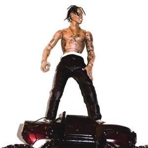 Meet your Posher, Harrison